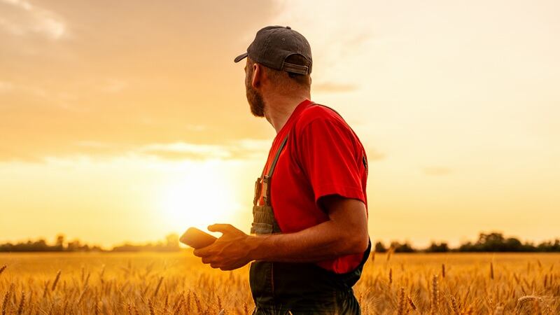 U.S. farmers will receive a one-time bridge payment to offset expenses associated with trade volatility.