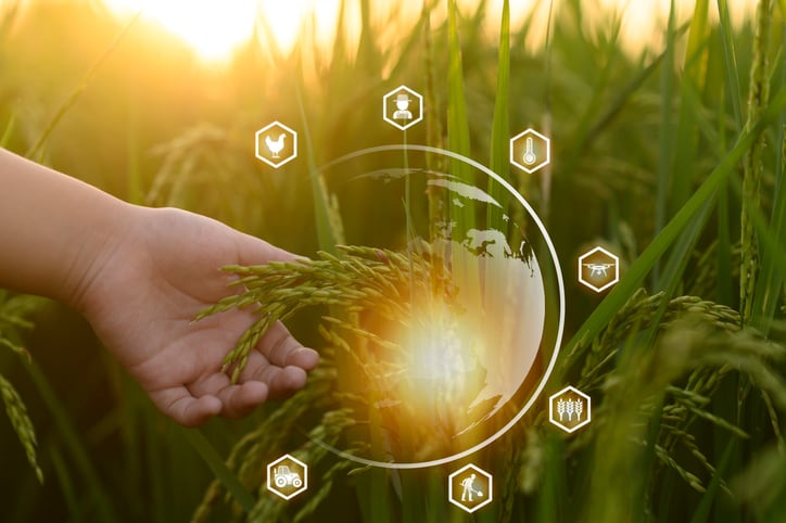 Agri Trend Tracker: From ADM and Bunge’s regen ag growth to EIT’s new cohort of start-ups