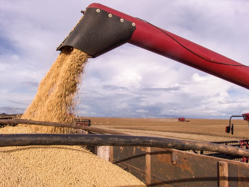 alffoto-soy-harvesting-istock.jpg