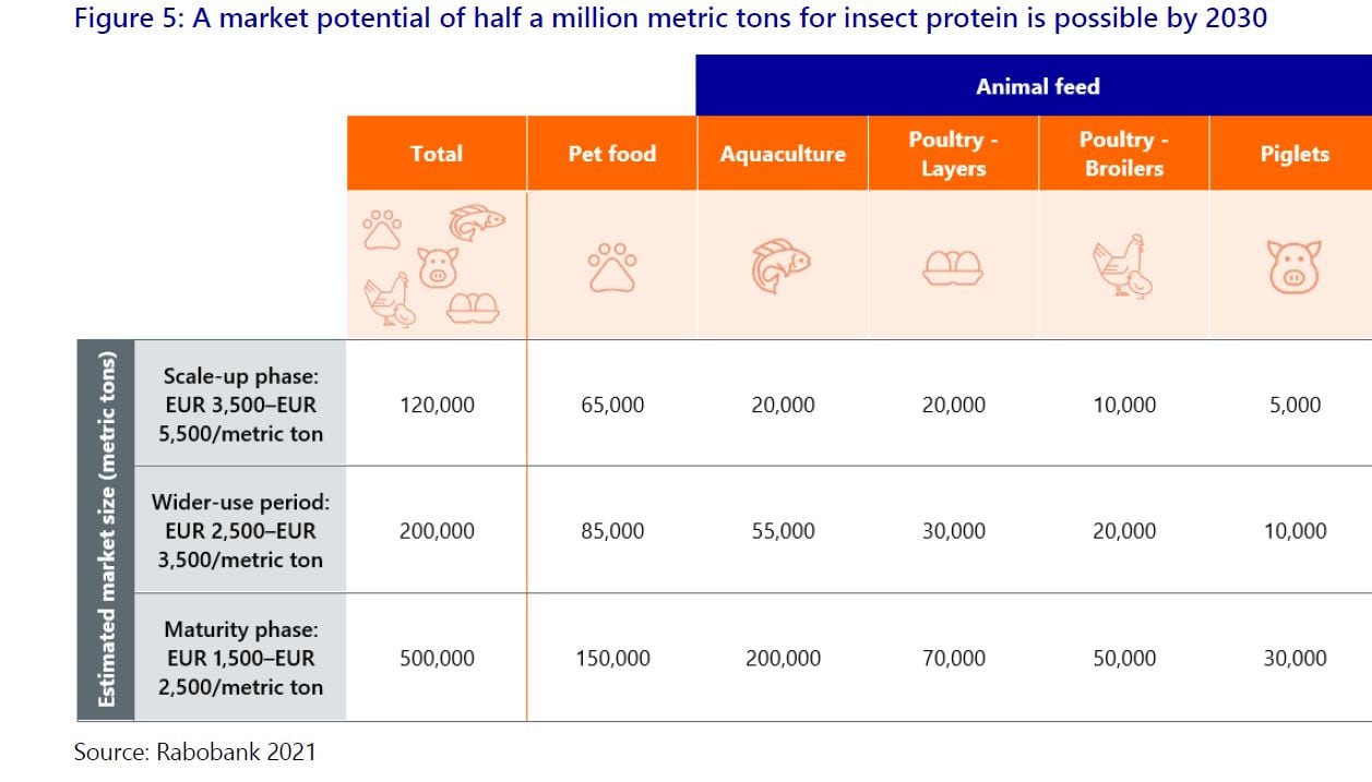 insect-sector-phased-growth-model-rabobank-2021.jpg
