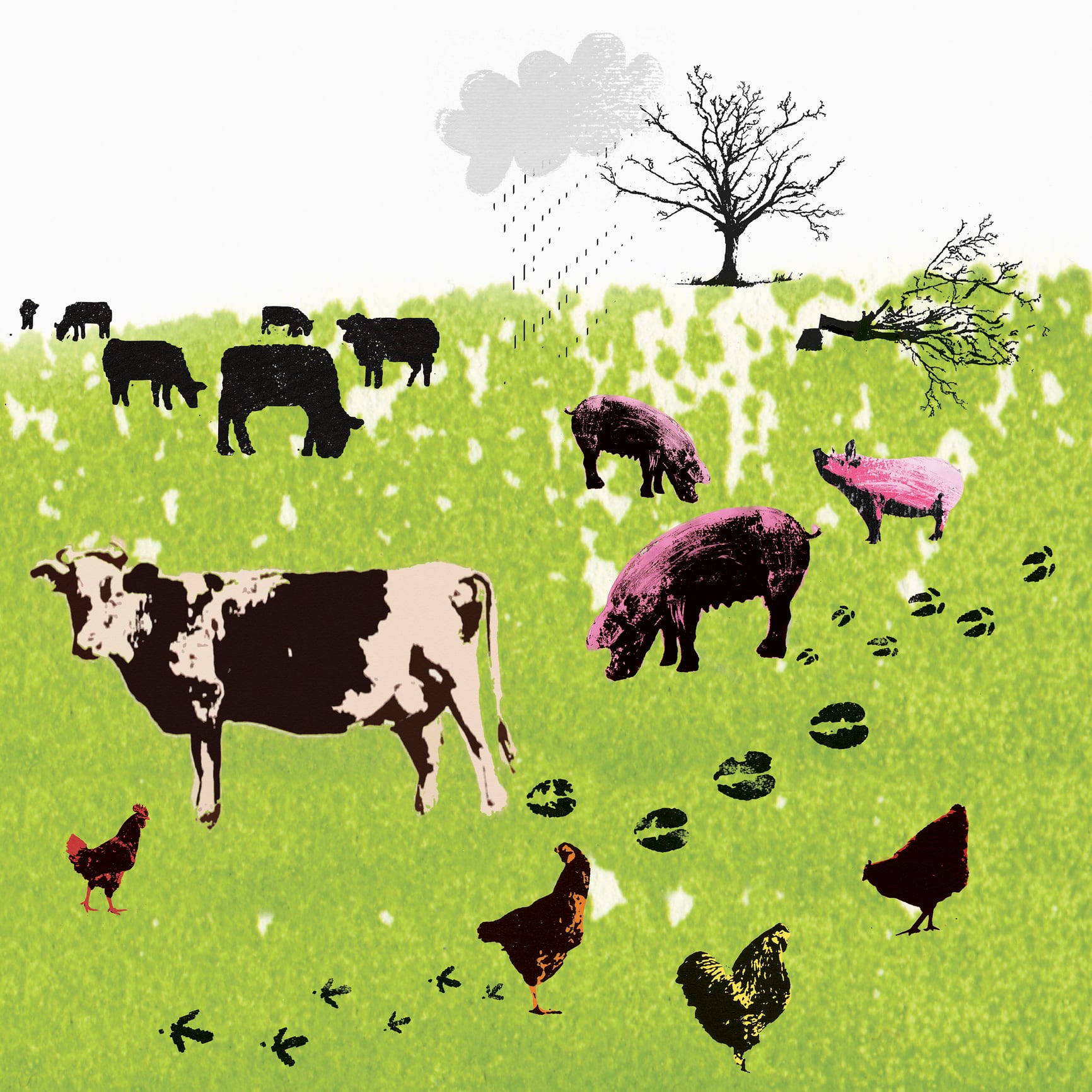 Making ruminant farming part of the climate change solution 