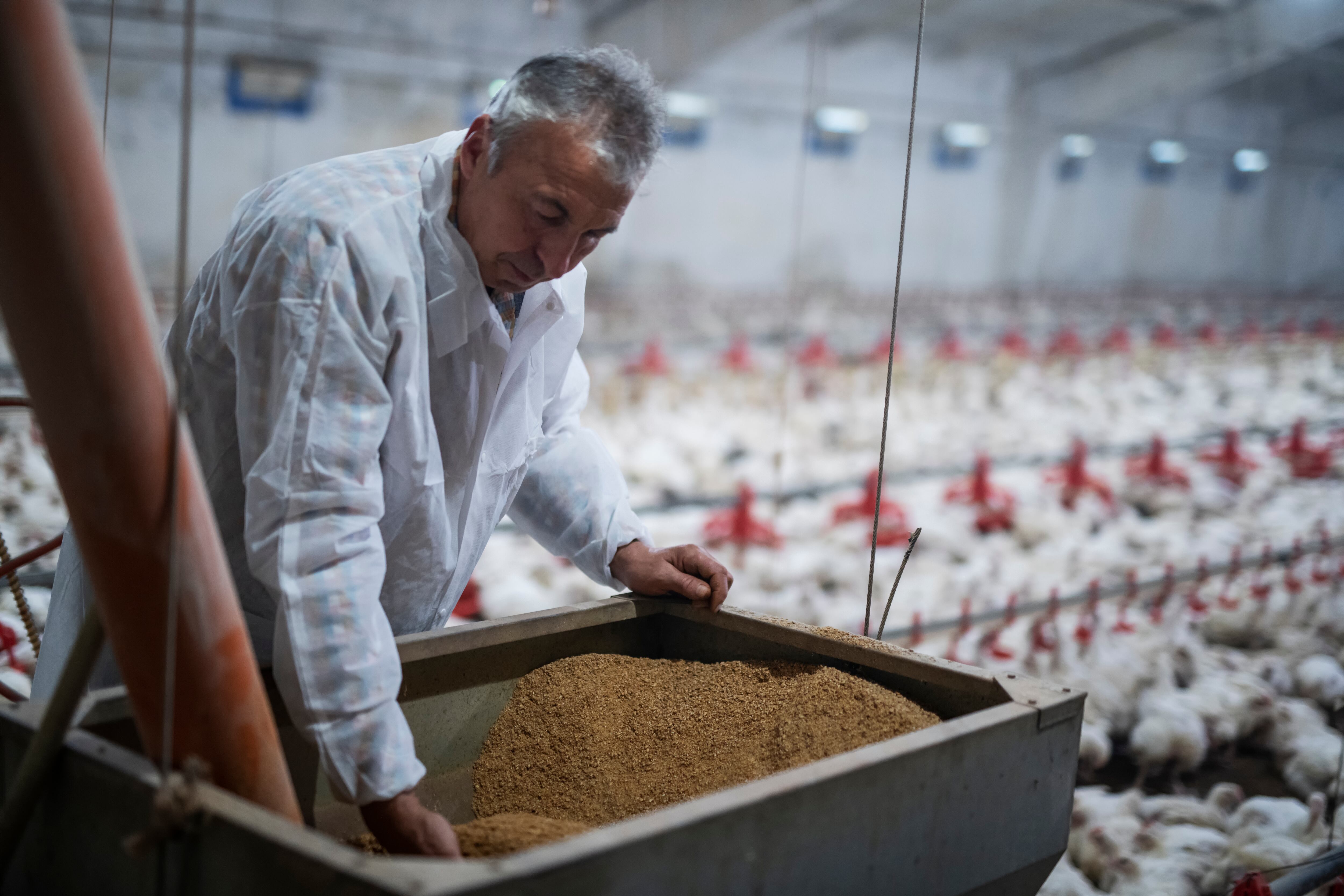 ADM, Alltech unite feed assets across US and Canada
