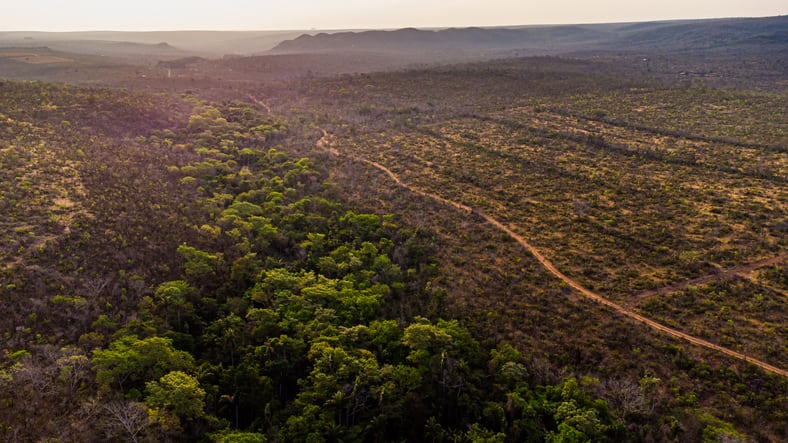Brazil's soy industry faces profitability challenges due to climate change impacts
