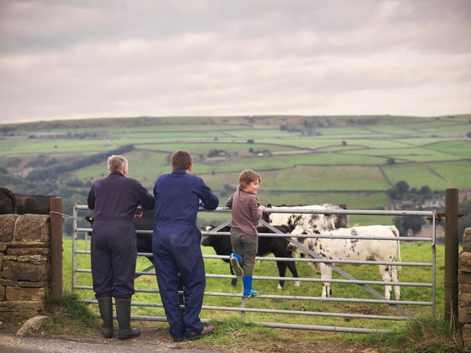 UK’s largest grocer and bank step in to help farmers reduce costs and decarbonise