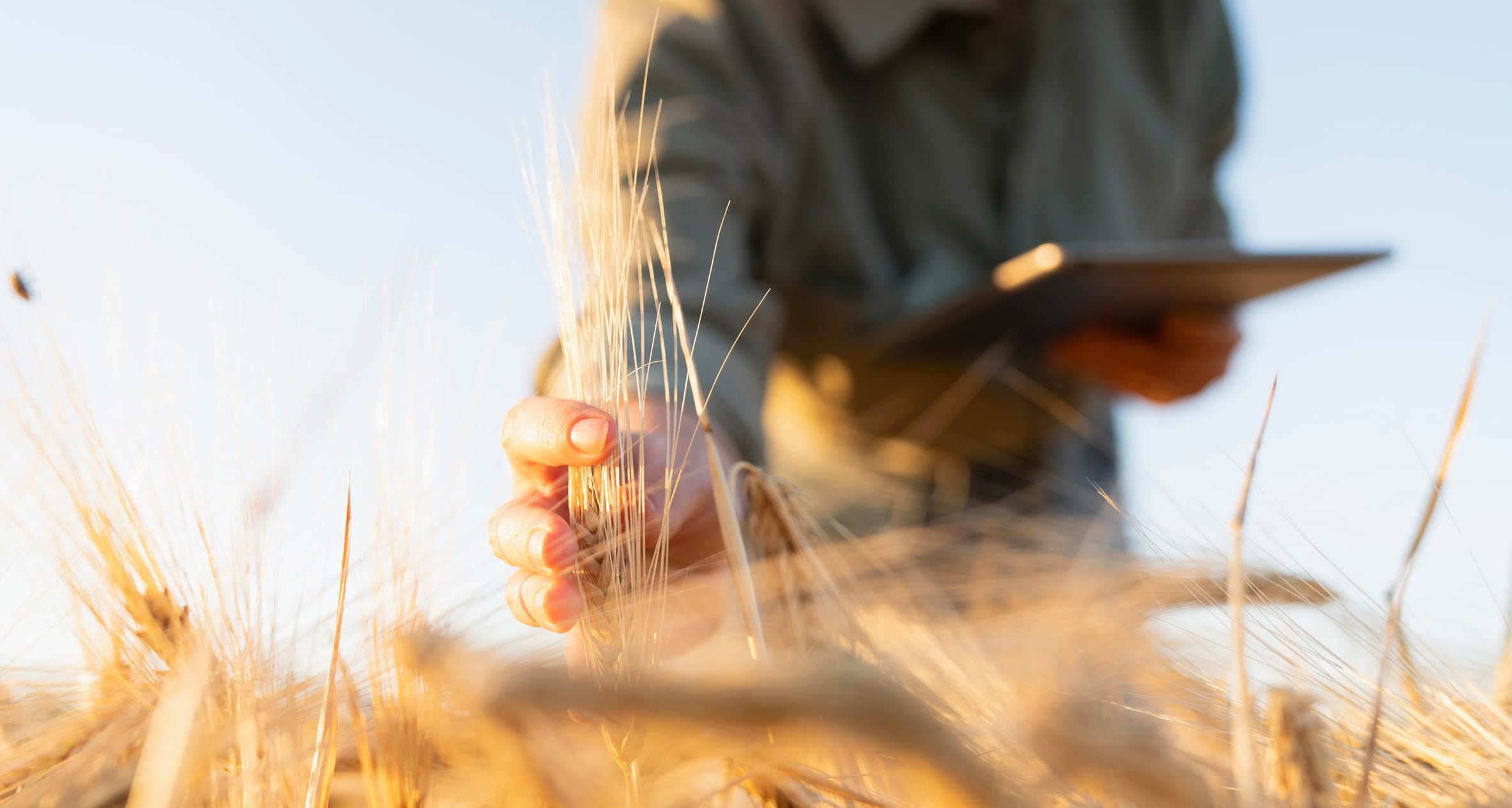 Klim’s UK arrival: a new era for regenerative food systems?