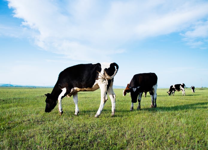 Cargill China: Methane reduction must add up commercially