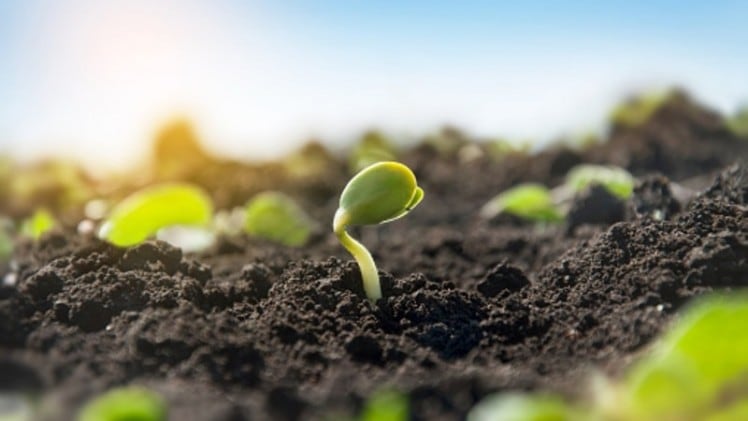 Japan-throws-weight-behind-private-agritech-improvement-projects-to-hit-sustainability-targets.jpg