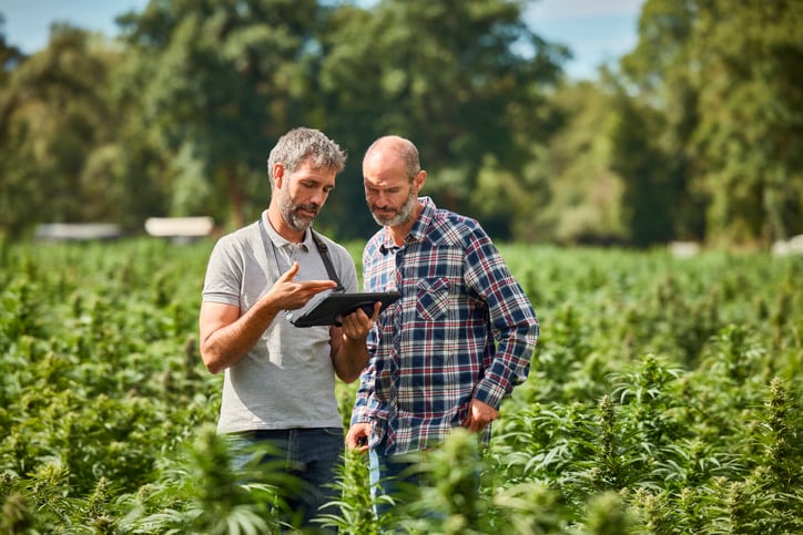 Insufficient support for EU agtech knowledge, innovation amid digital transformation: OECD