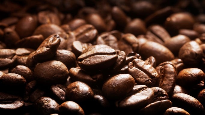 Regenerative innovation: RegenX targets coffee, cacao, coconut sectors as it ponders expansion