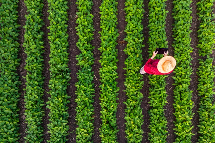 ‘We can treble output’: Meet the Georgia start-up connecting farmers and agronomists worldwide