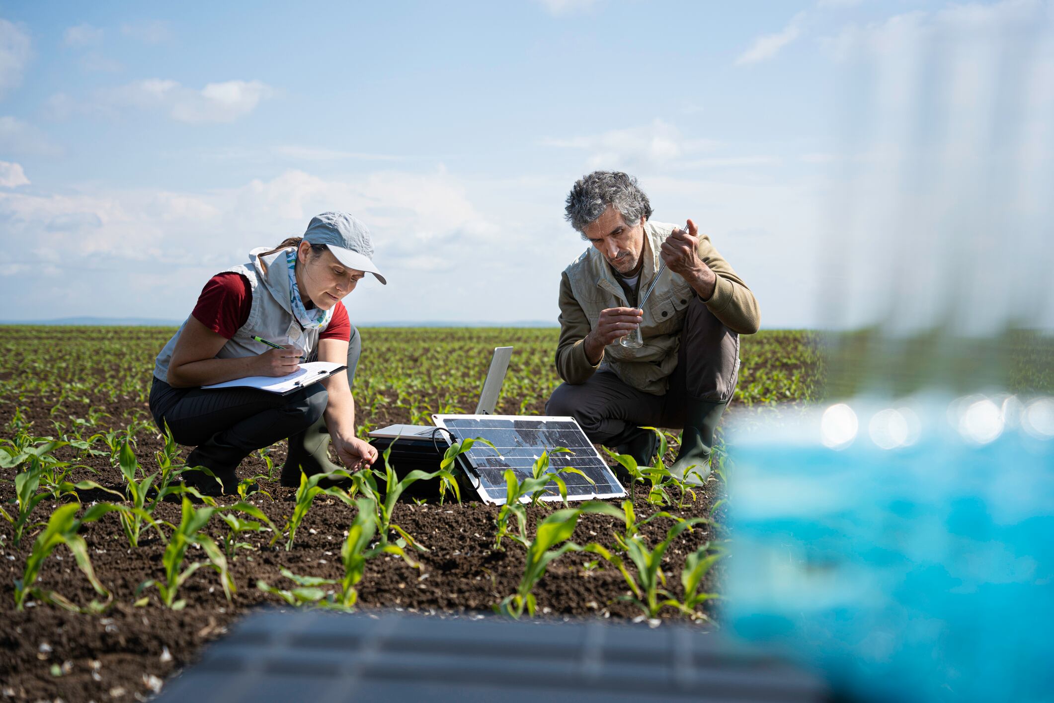 Lloyds’ and other bank’s regenerative finance push could spark a new wave of agtech services.