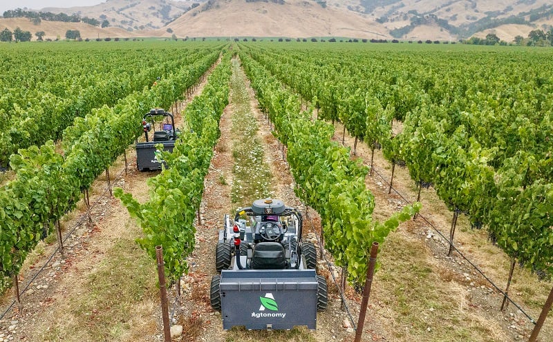 Copy-of-Copy-of-Agtonomy-Fleet-in-Vineyard.jpg