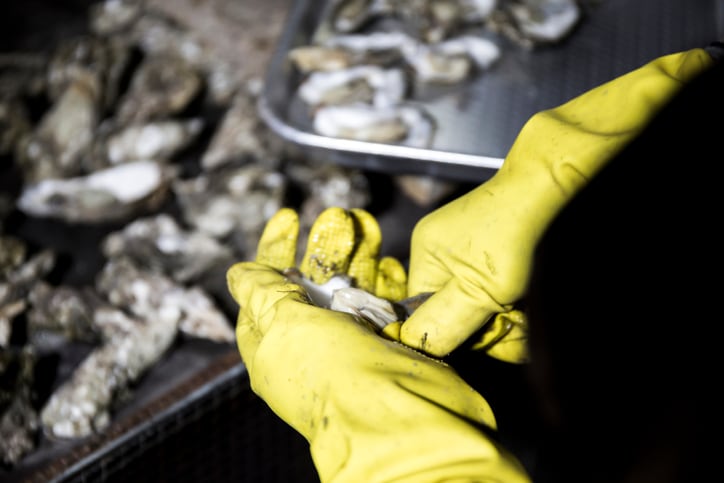 Aquaculture producer sees $100K USDA grant to feed, raise land-based oysters 