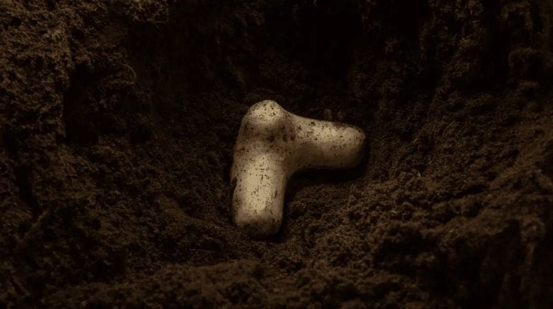 Designed by UK start-up Muju Earth, Aeropods prioritise restoring the biology and physicality of soil.