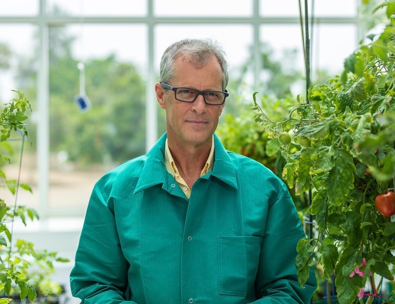‘I was thinking this is old stuff’... Going retro could be key to the future of food, says plant scientist Mark Tester
