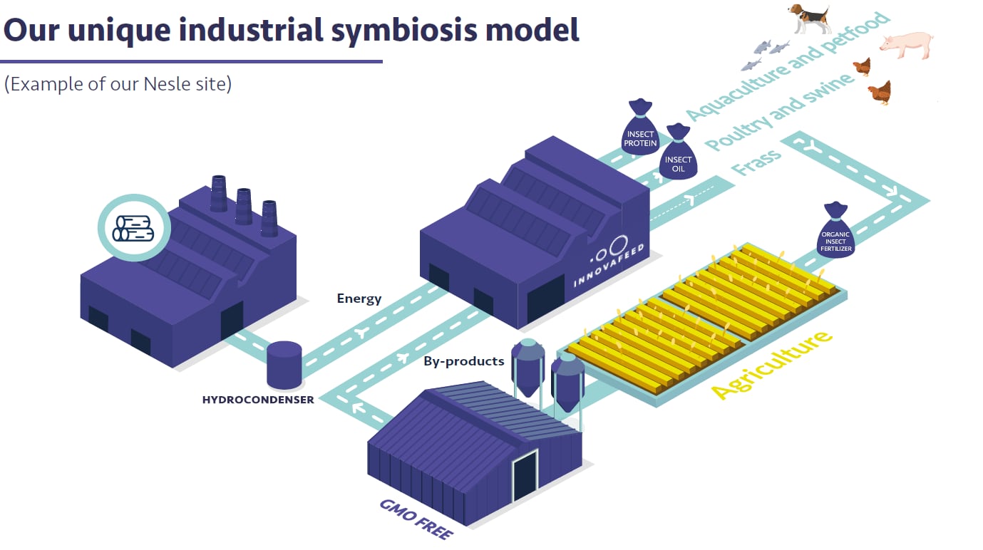 Innovafeed-production-model.png