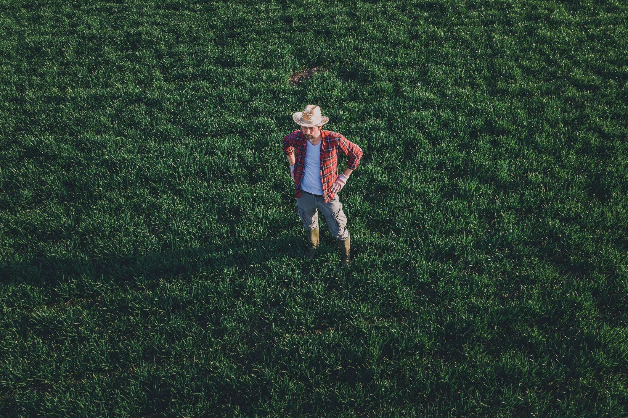 What farmers want from tech – put producers at heart of R&D to drive innovation, report demands