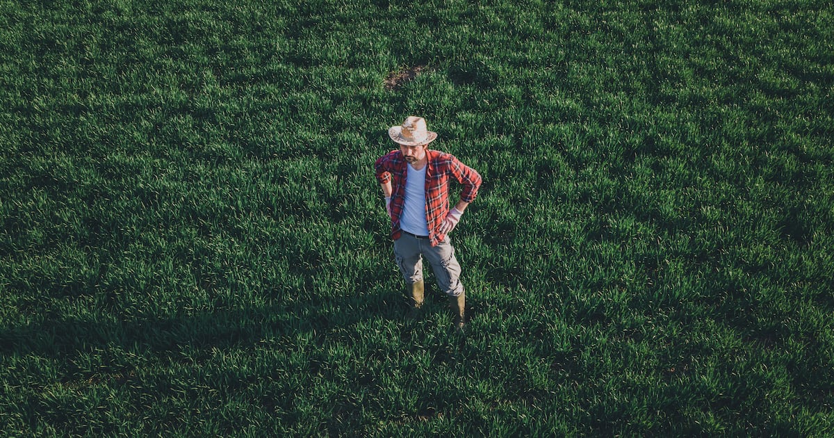 Put farmers at heart of R&D to drive innovation, report demands Put farmers at heart of R&D to drive innovation, report demands