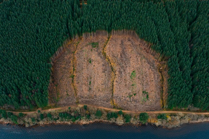 Indonesia: Koltiva reveals EUDR solutions to help businesses navigate EU deforestation regulation