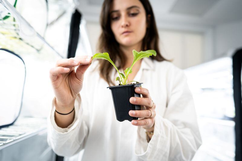 Agriodor’s first product, targeting sugar beet aphids, is now commercialised under an exclusive distribution agreement with Syngenta, supporting French growers in the fight against yellows virus.