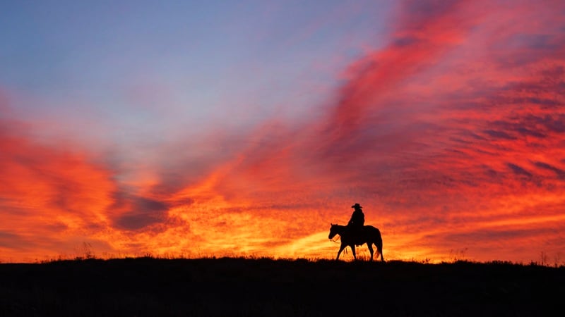 A rancher against a horizon