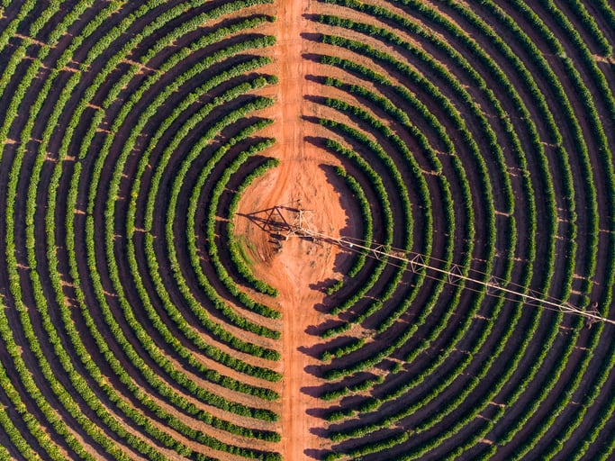 The smart ag projects helping Brazil’s coffee farmers save up to 30% of their water