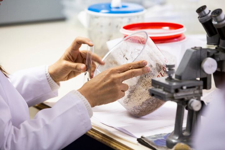 Canadian BSF producer gets CFIA approval for in-feed use