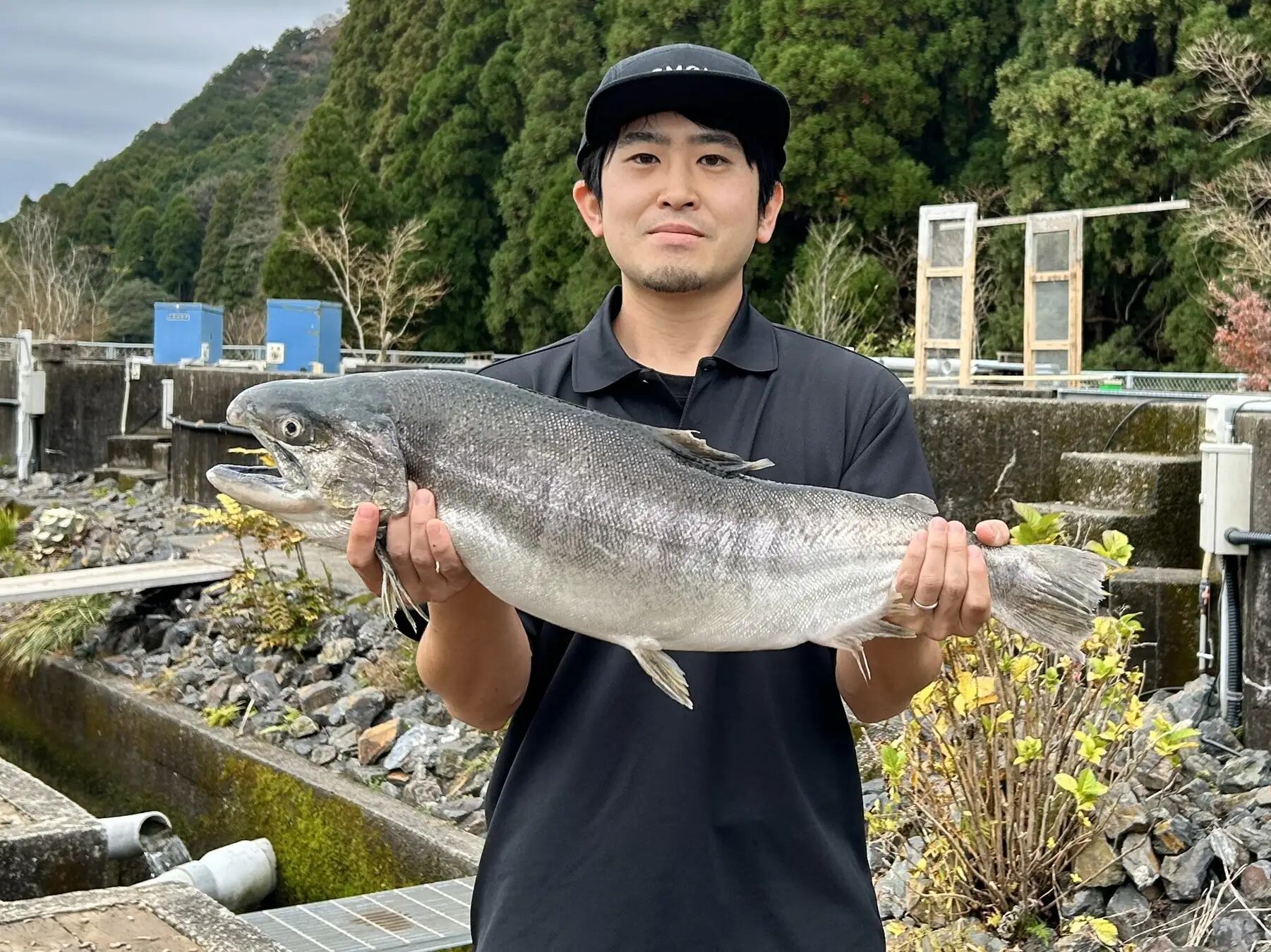 Smolt Inc Cherry Salmon