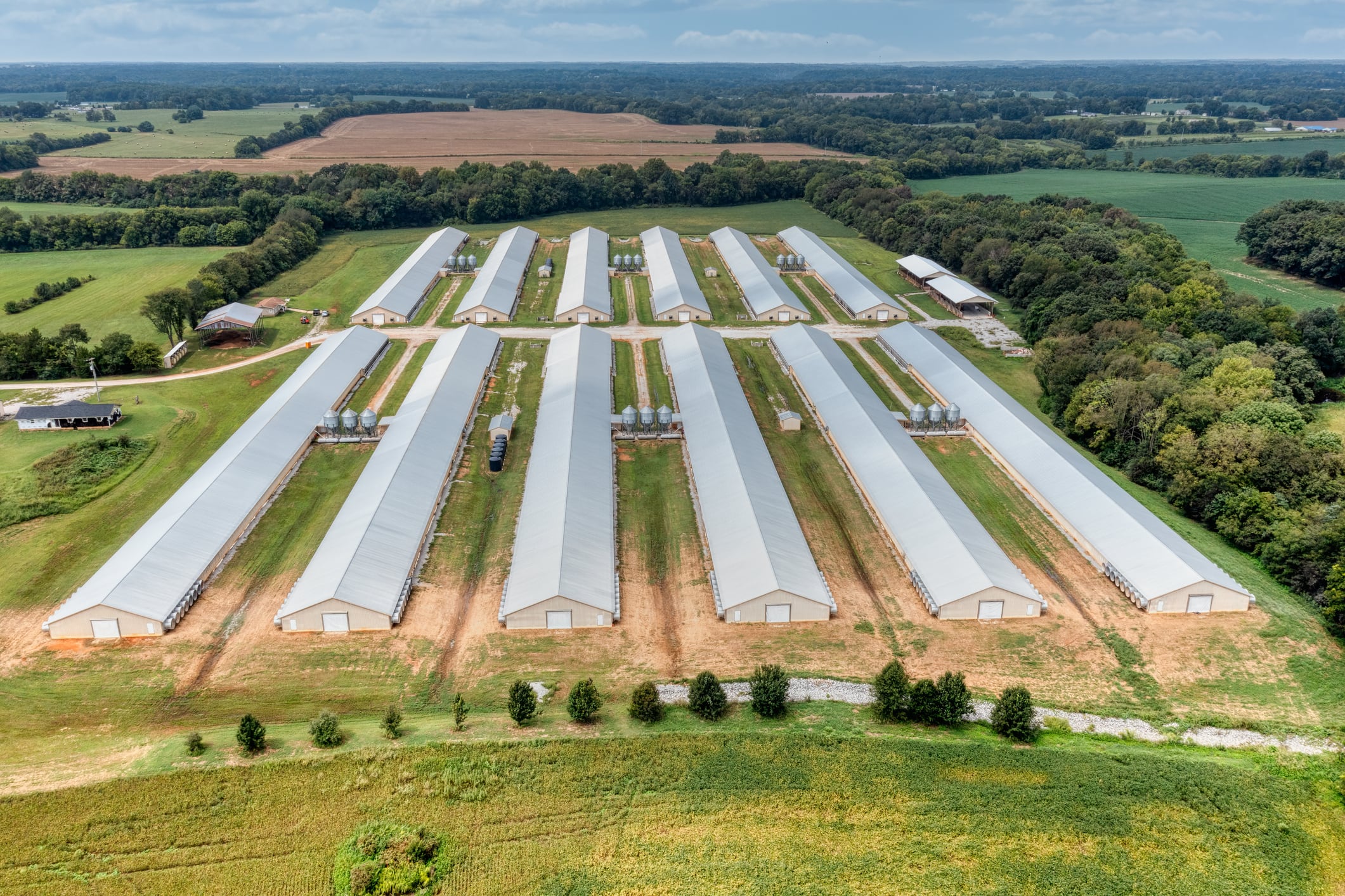 Cobb-Vantress ramps up R&D investment to fast-track genetic gains