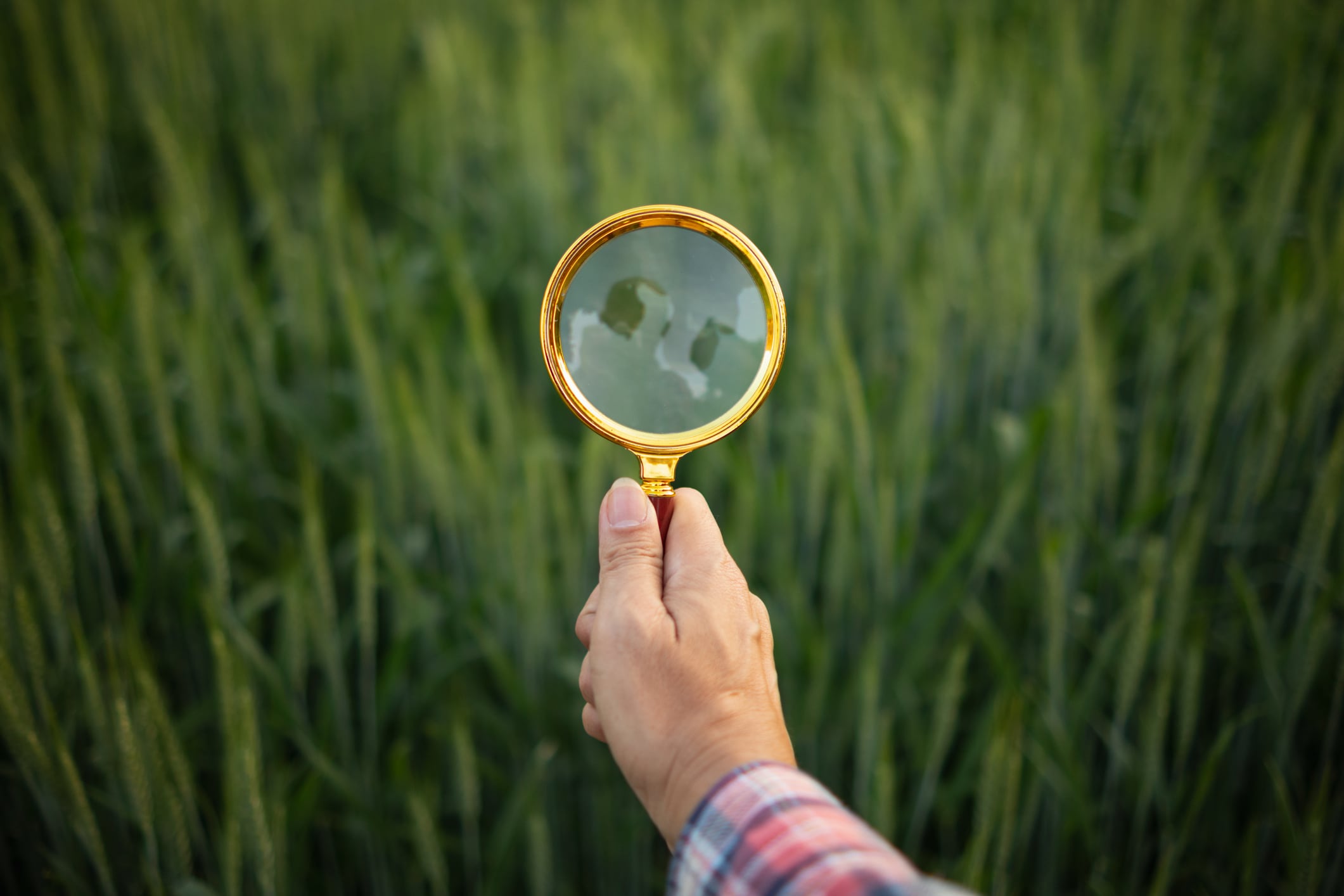 ‘Balanced and diverse portfolios’ can reap investor rewards, says Supernova Invest