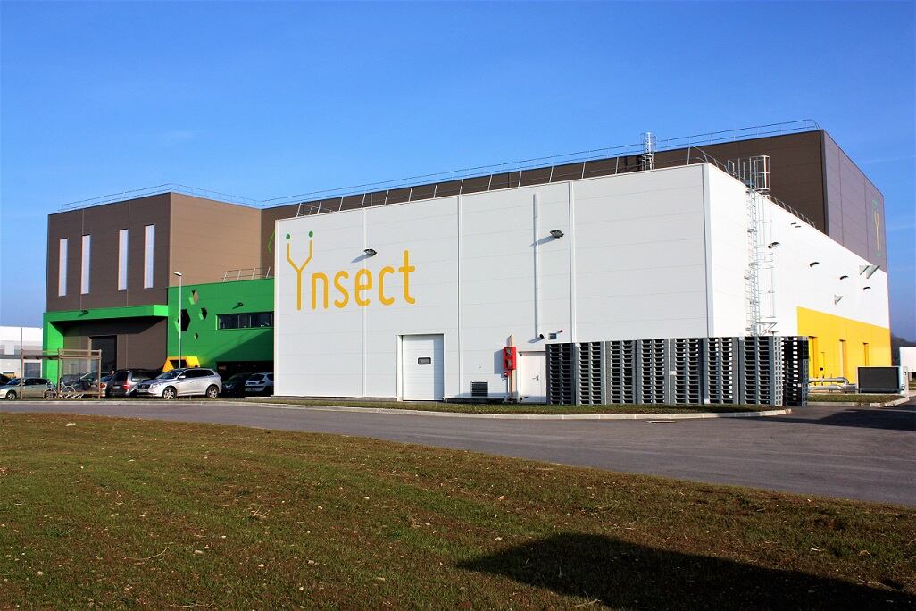 Ÿnsect set to expand internationally, building new factories in the US and Mexico 