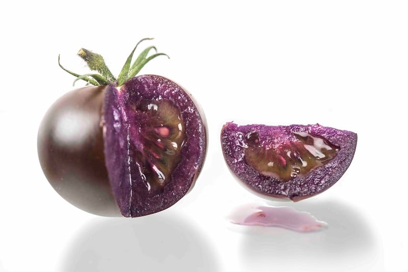 First genetically modified food crop becomes available to home gardeners in the US