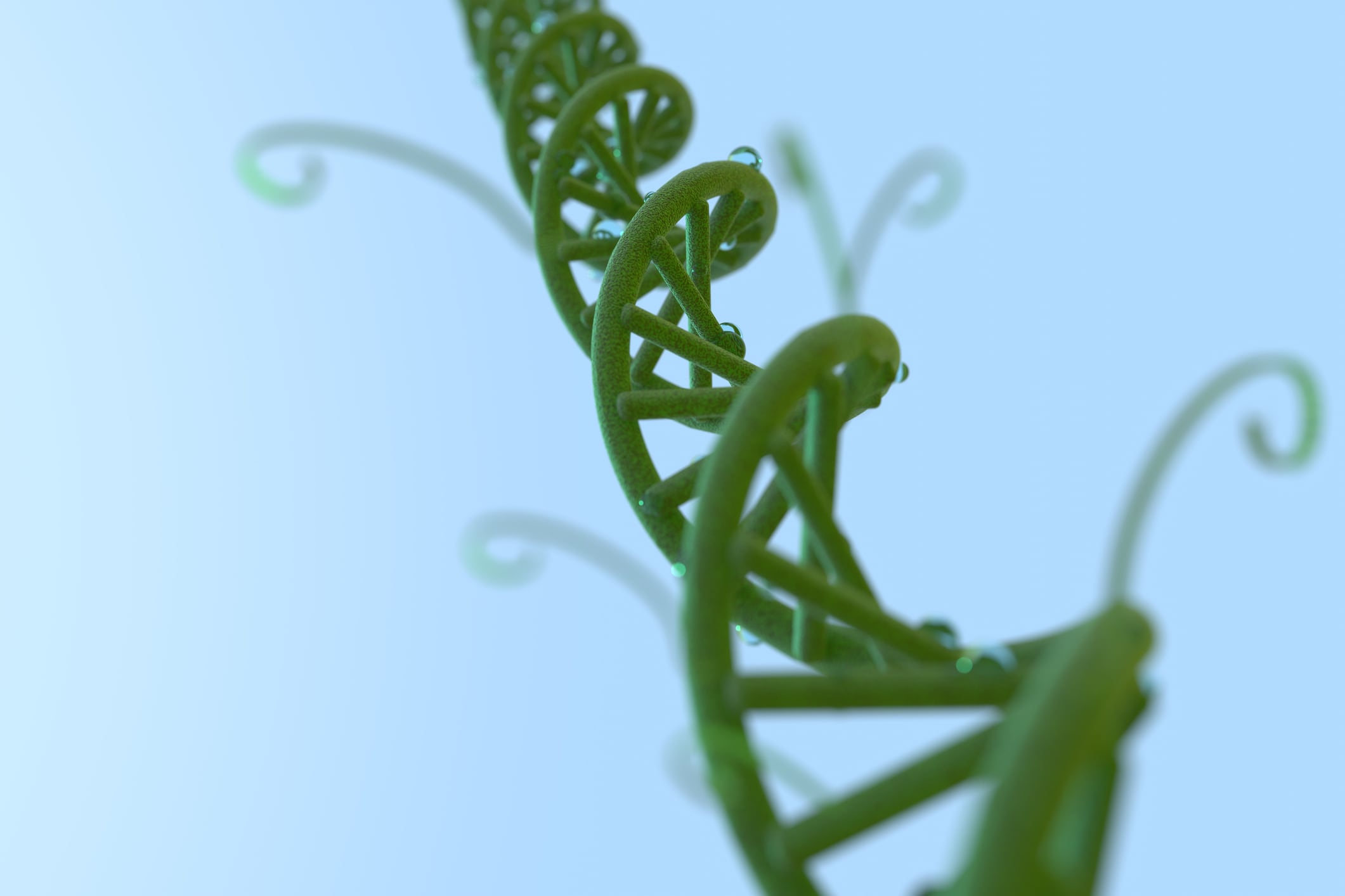 Living Models’ BOTANIC model learns from DNA across the plant kingdom to improve trait prediction and breeding efficiency.