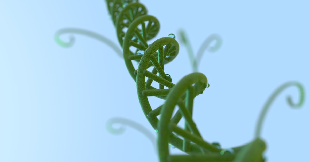 Living Models raises $7m to speed up crop breeding with AI