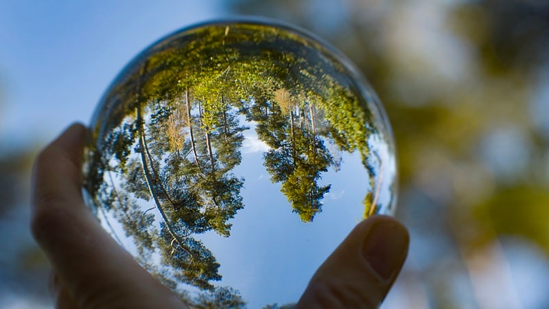 A man holding a glass orb with the reflection of trees.