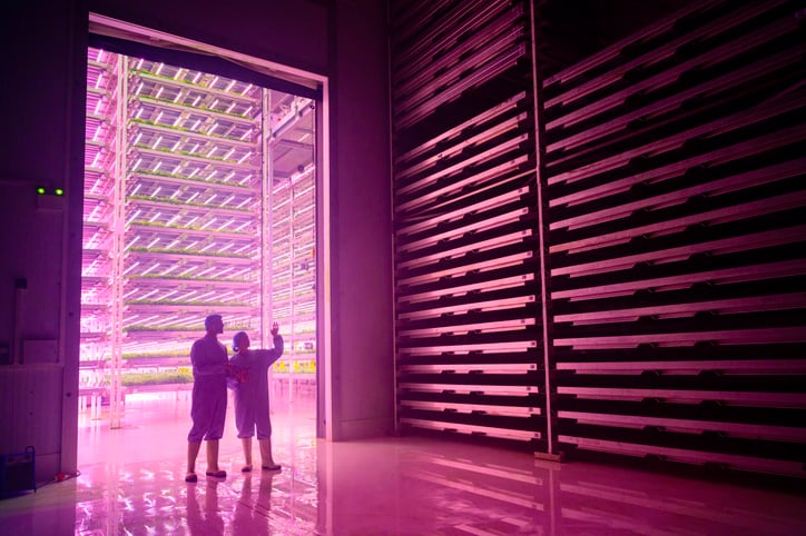 Calls for accelerated energy transition to unlock full potential of CEA and vertical farming in Middle East