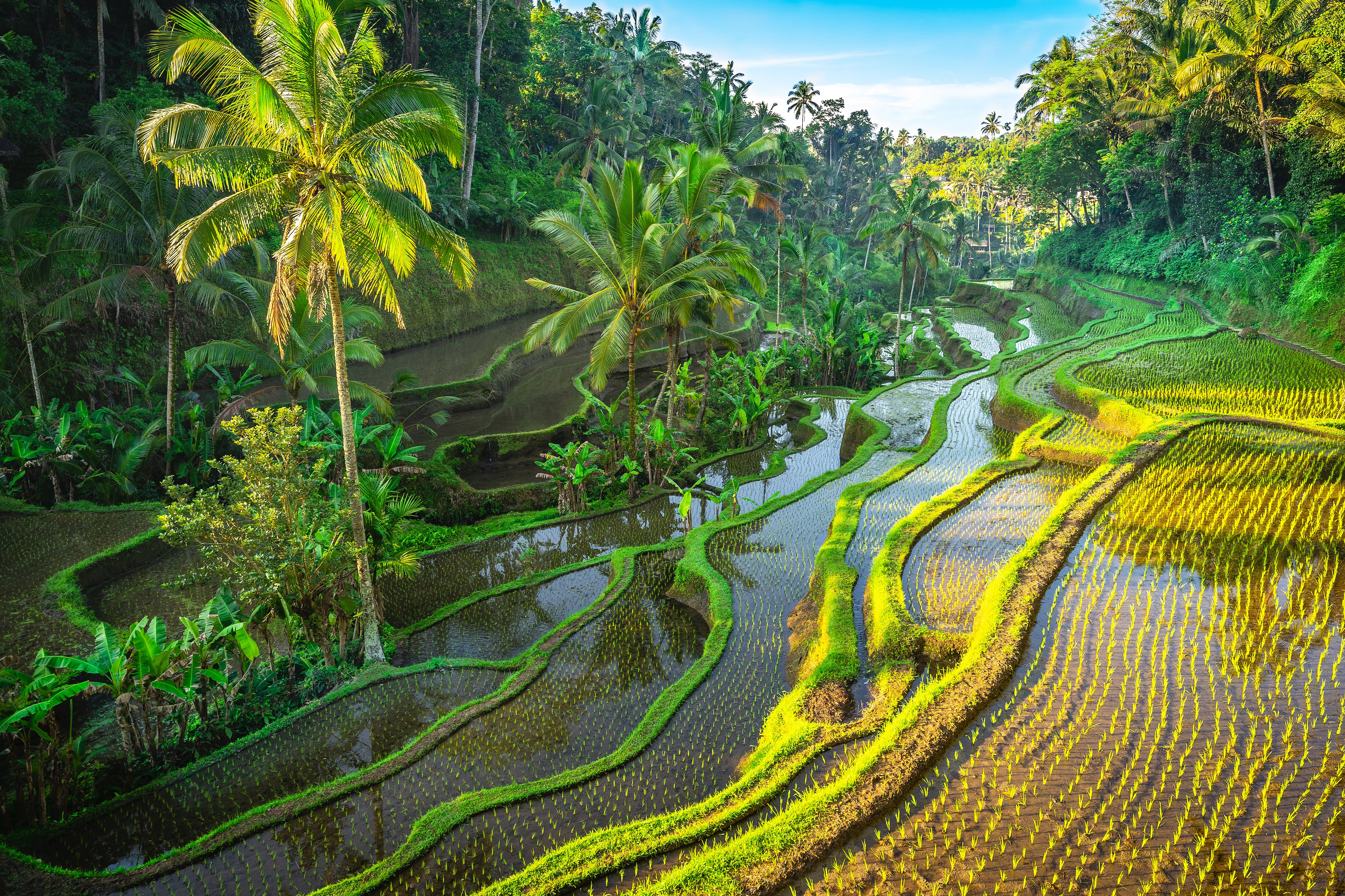 Finance the ‘missing link’ for regen ag in Asia 