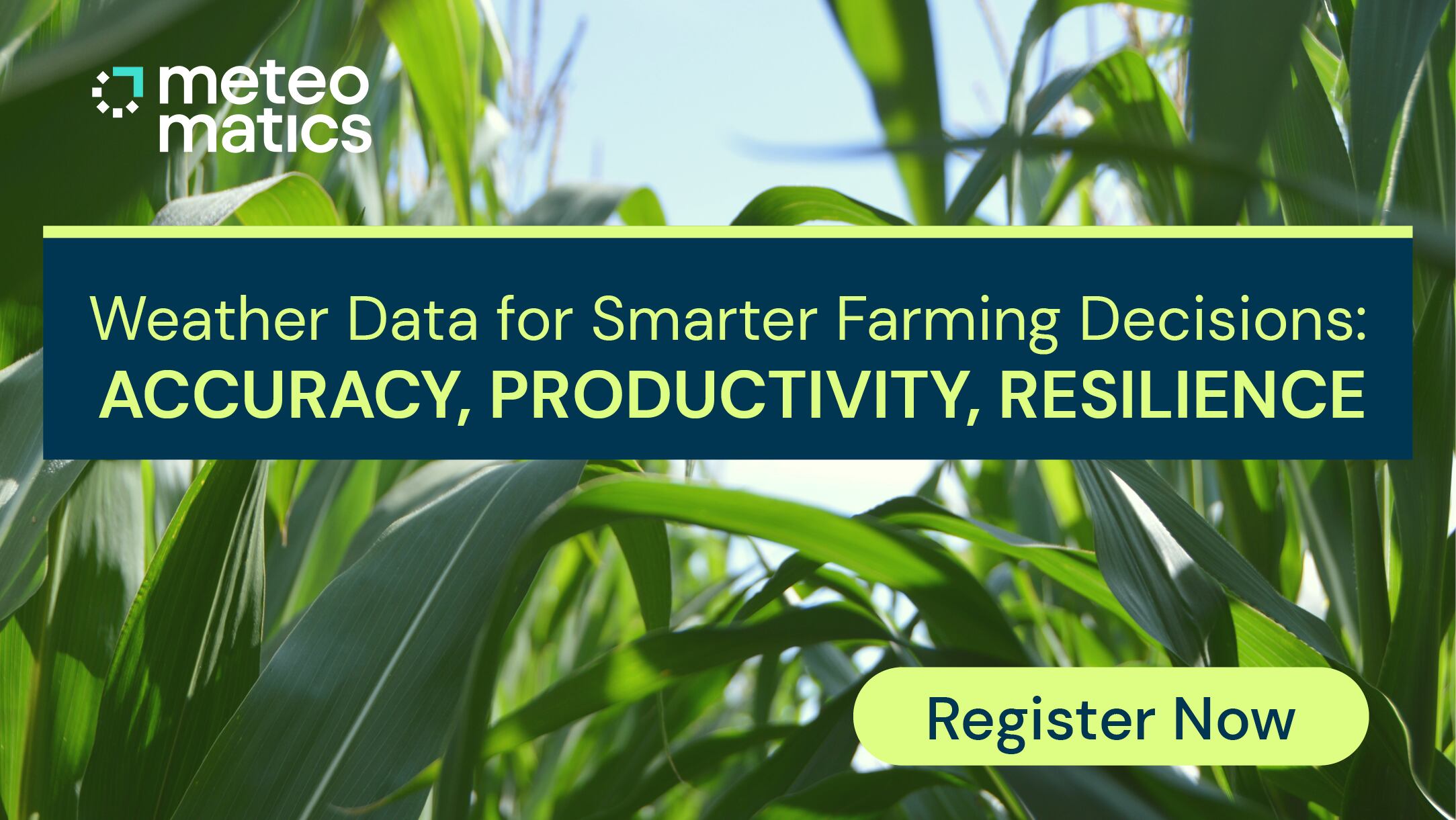 Weather Data for Smarter Farming Decisions: Accuracy, Productivity, Resilience