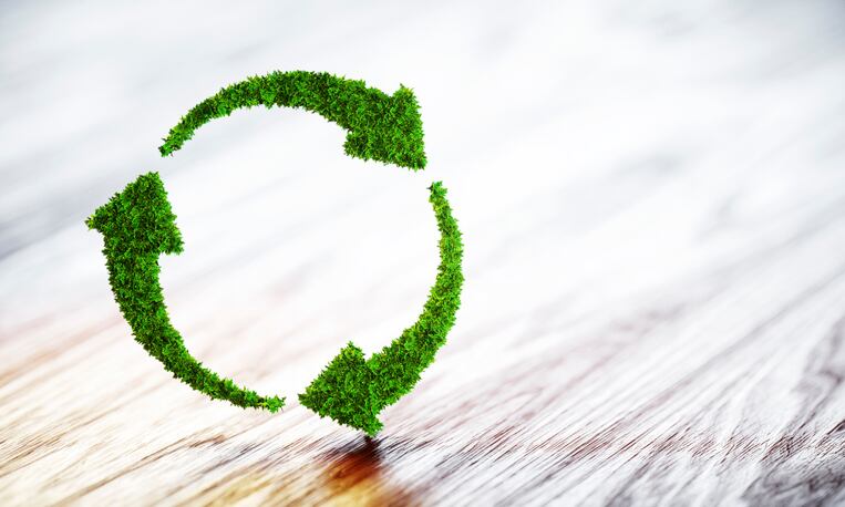 New regulation to boost the circular economy aspect of EU insect production 