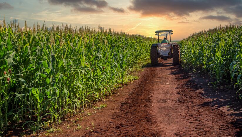 SP Ventures secures $22 million first close for third fund, AGVIII, focused on sustainable agrifoodtech