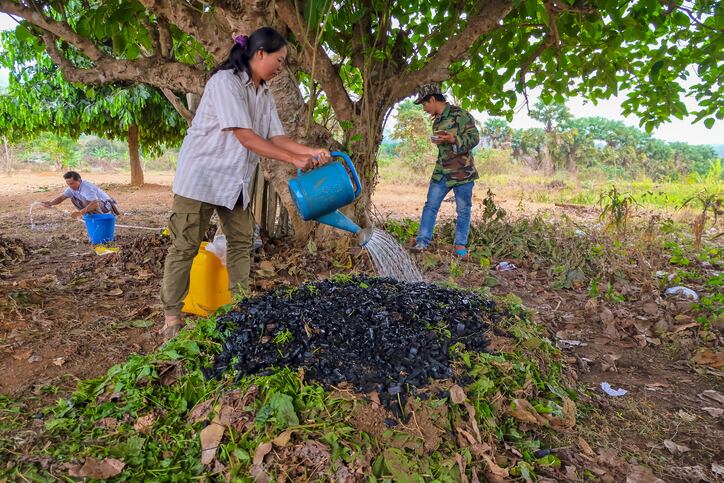 Biochar could be environmental remediation catalyst: China, India researchers