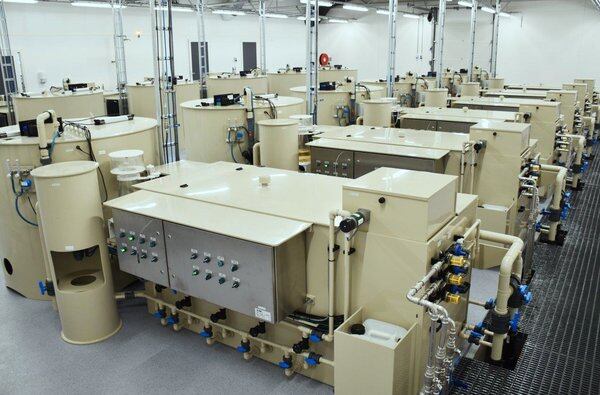 Skretting has upgraded its integrated feed concept for RAS 