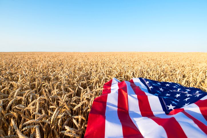 ‘Powerful validation of our approach to regenerative agriculture’: Why Microsoft is backing Farmland LP