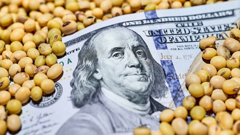 Soybeans and a $100