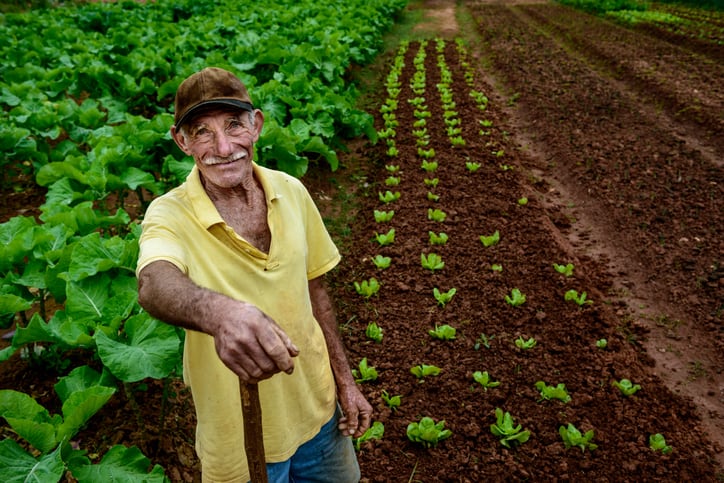 Boomitra-plans-to-scale-regen-ag-in-Brazil.jpg