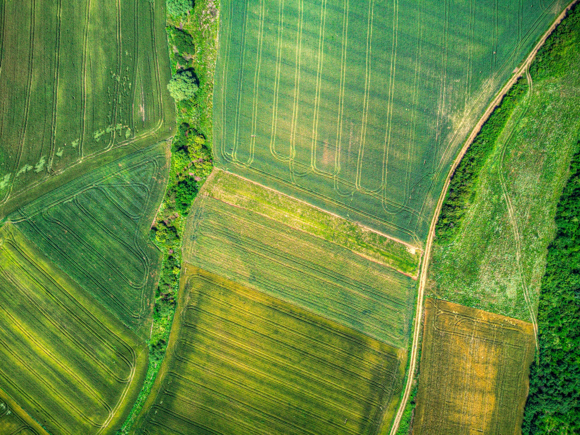 ‘A good product is rarely enough’ – Sofinnova discusses agriculture’s rising importance 