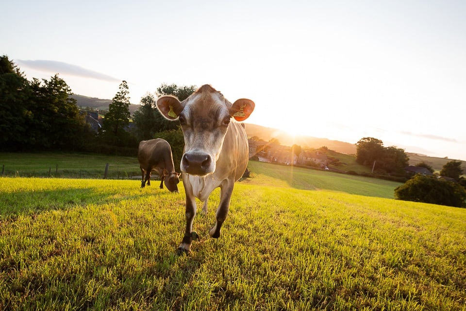 03_Brades-Farm-Image-Credit-Alex-Rumford.jpg