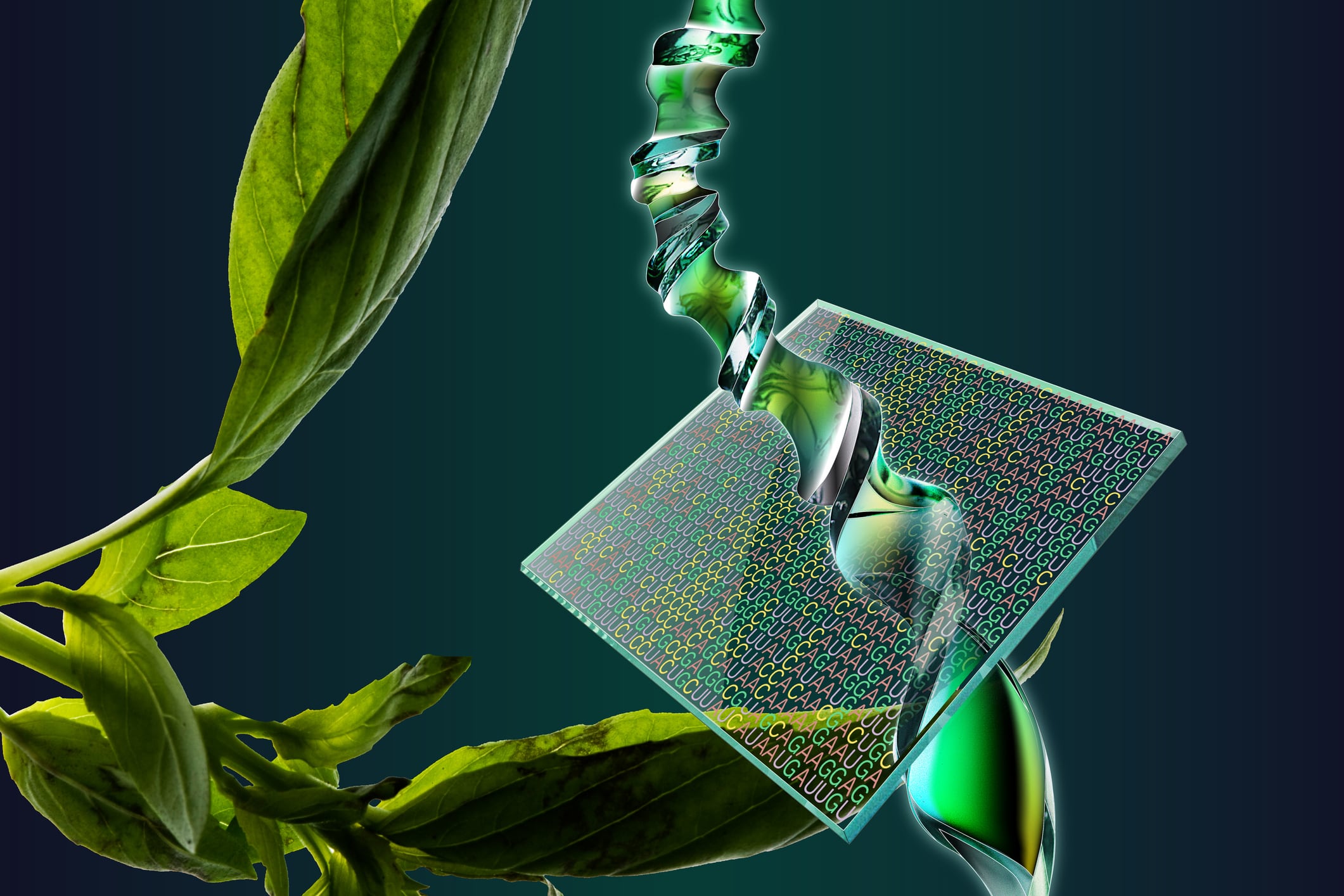 Genetic engineering that creates the future creates new things such as medical technology, regenerative medicine, genetically modified crops, DNAt chips, etc. while fusing with nanotechnology.