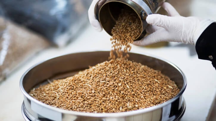 Animal-feed-additives-market-predicted-to-grow.jpg