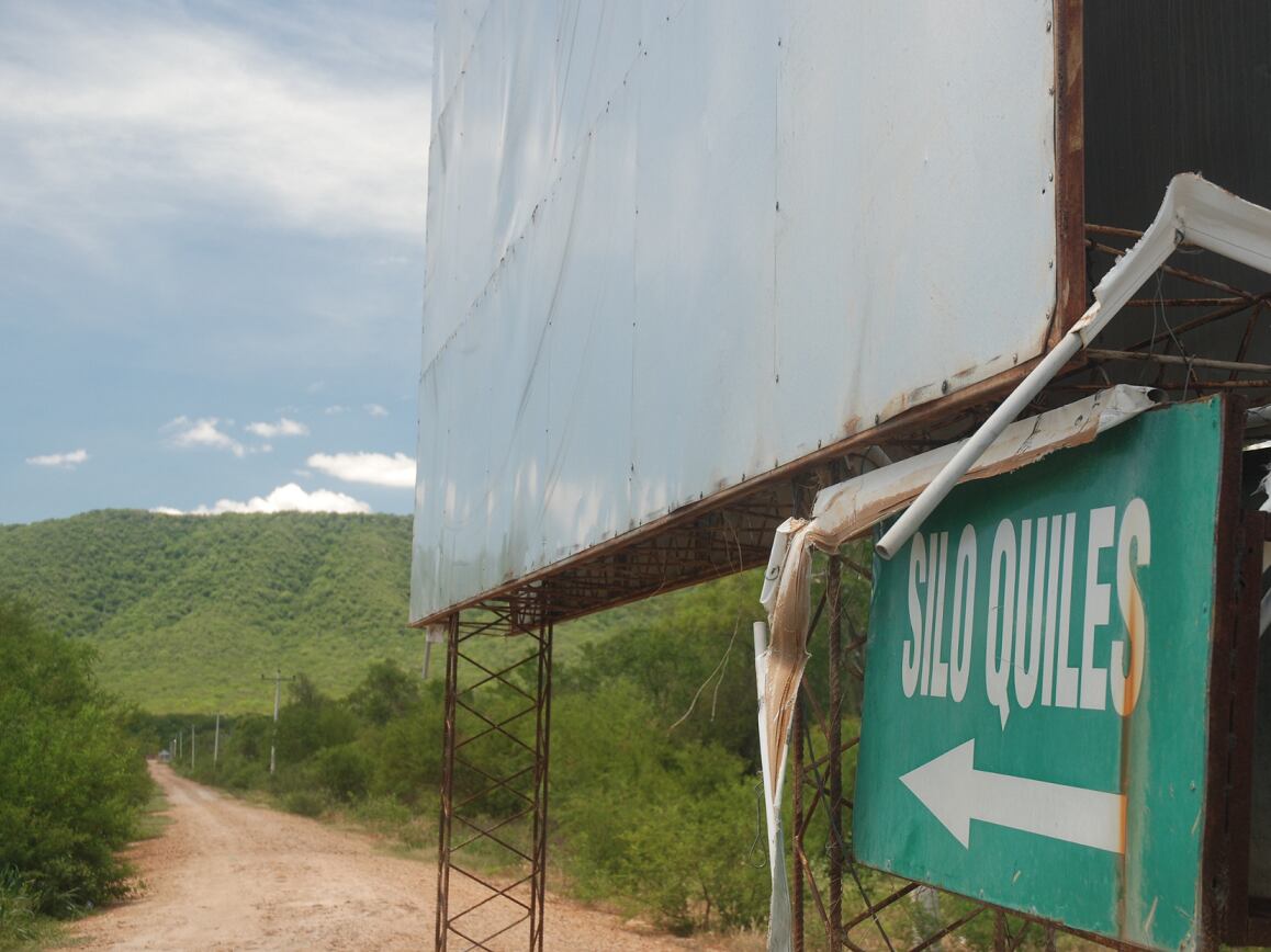 Global Witness: Cargill linked to soy led deforestation in Bolivia 
